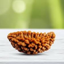 1 mukhi Java Indonesian