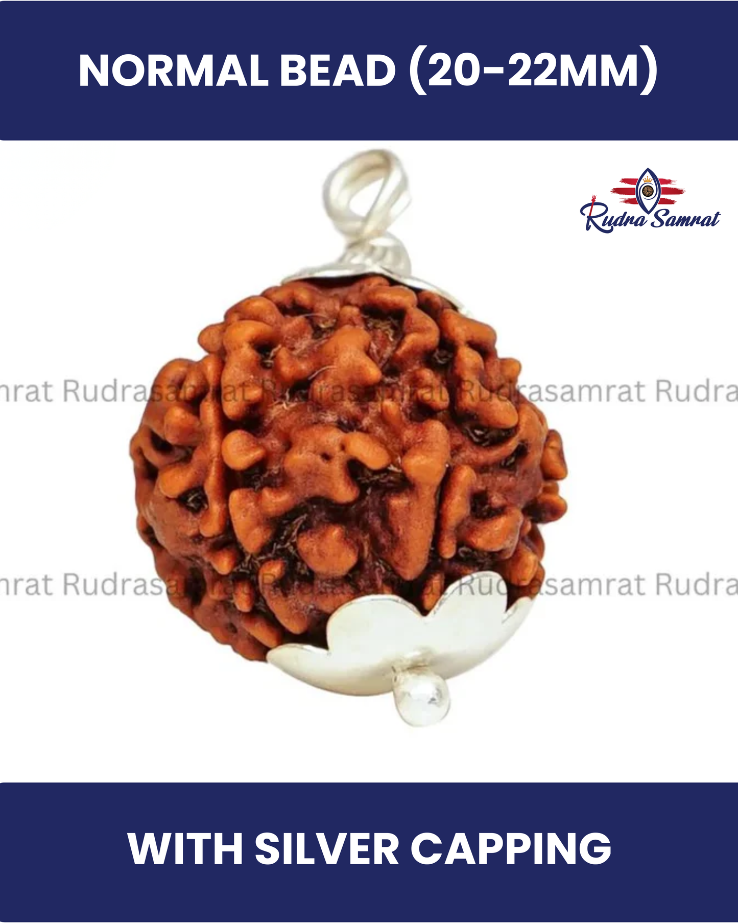 6 Mukhi Rudraksha