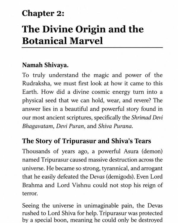 Book Interior Page