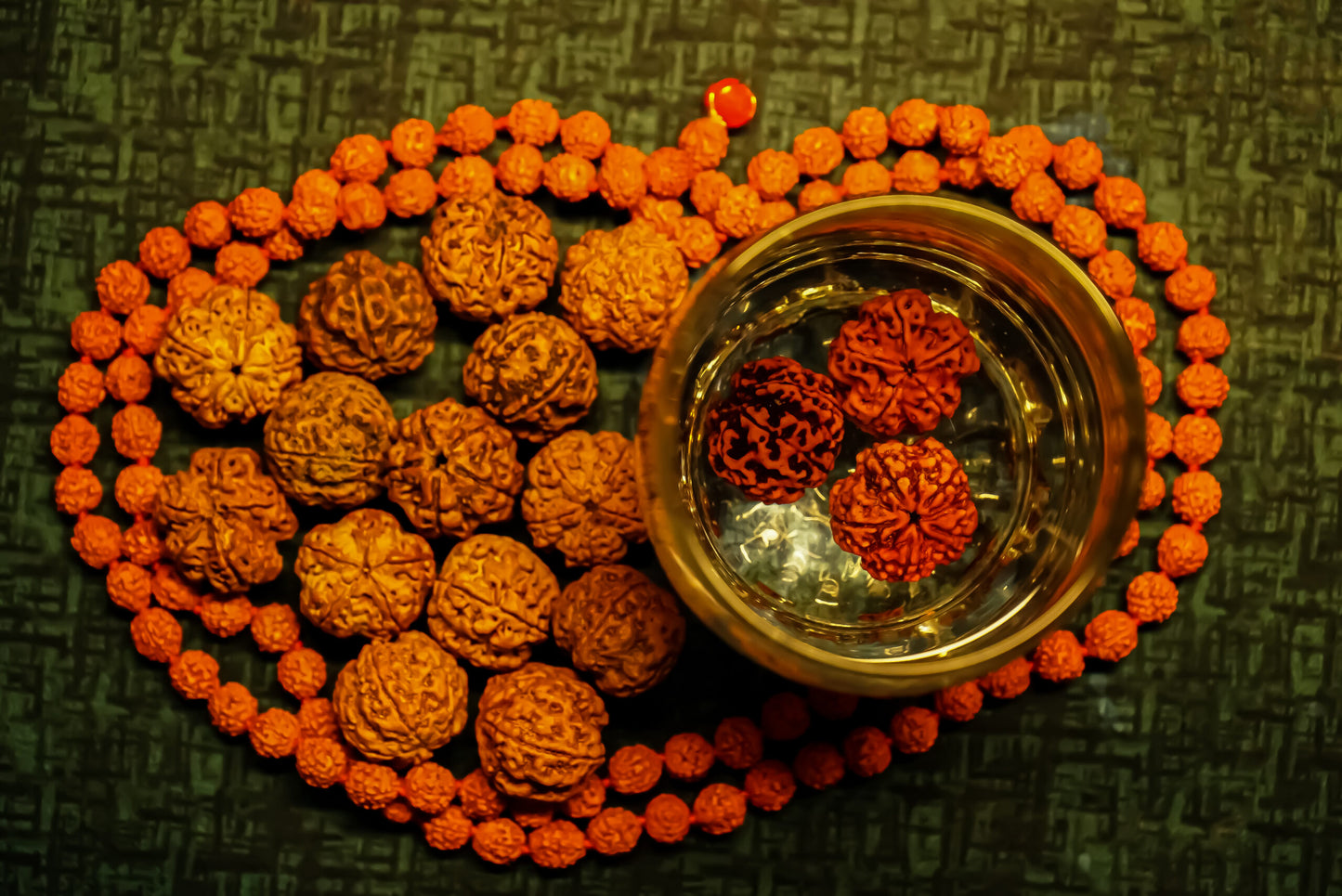 Water Therapy Rudraksha (Set of 3)