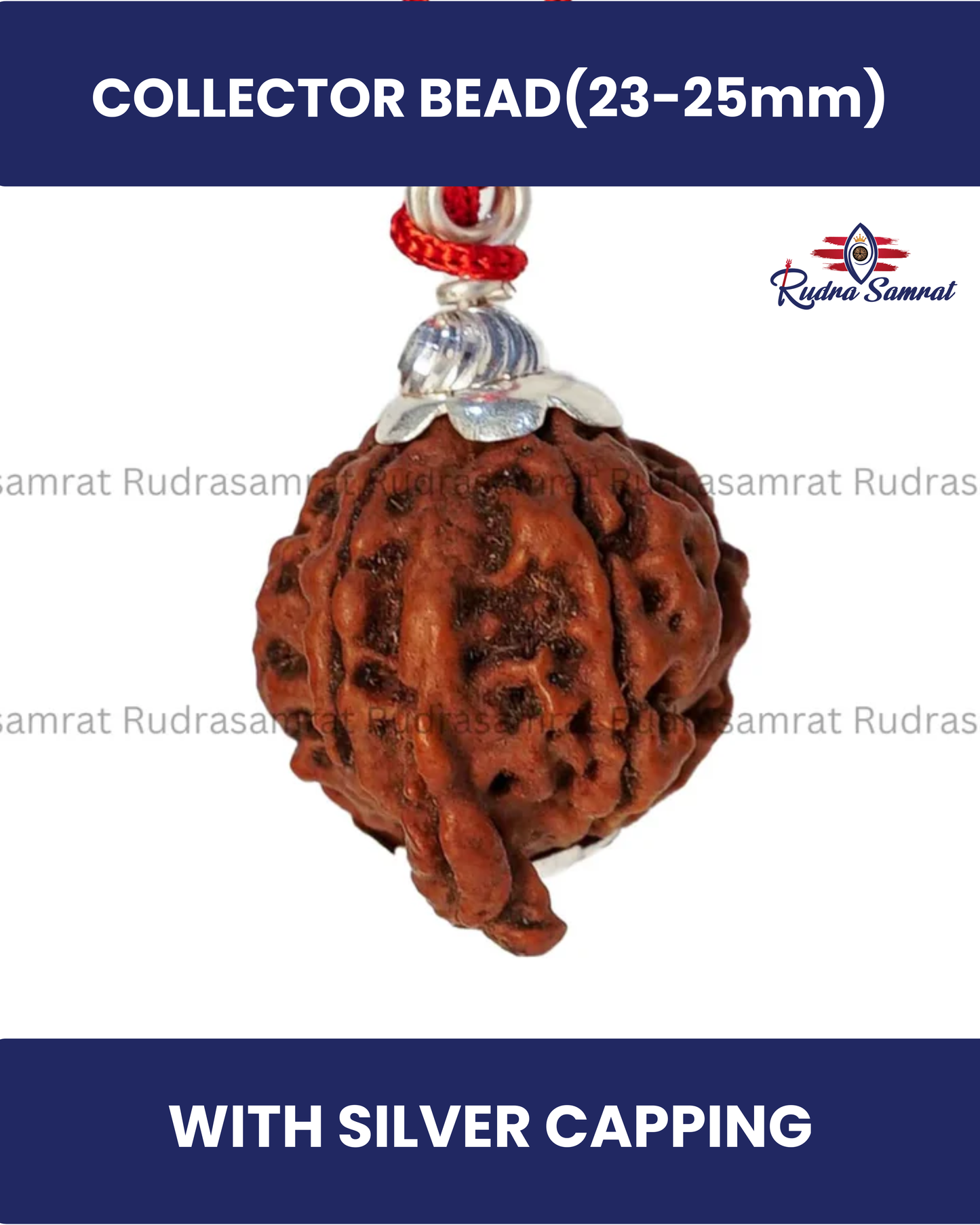 Ganesh Rudraksha