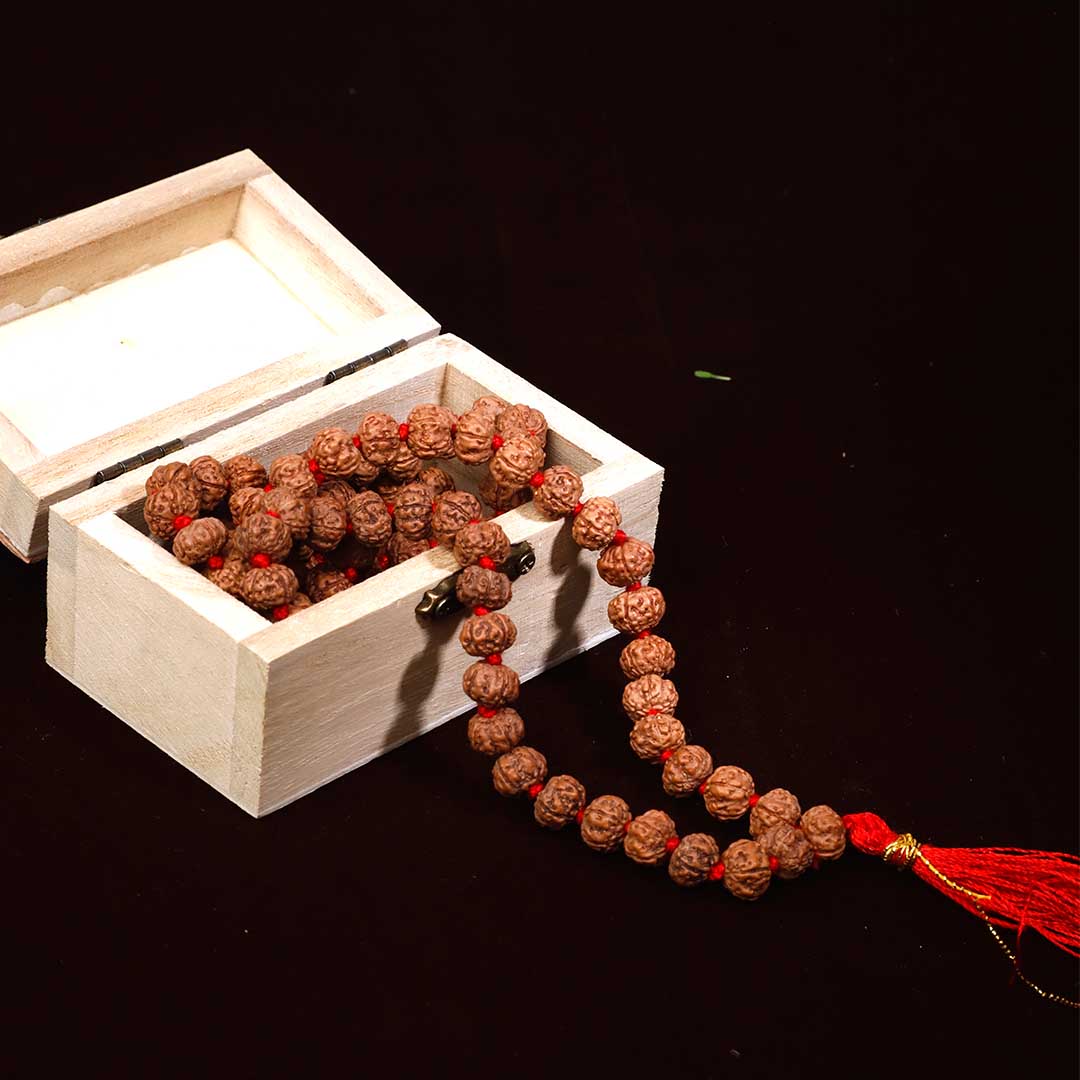 Rudraksha Jap mala