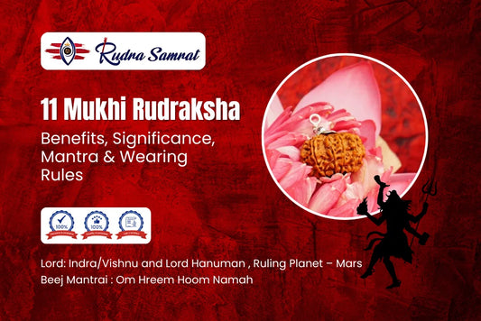 11 Mukhi Rudraksha Benefits