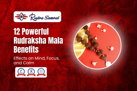 12 Powerful Rudraksha Mala Benefits and Effects on Mind, Focus, and Calm