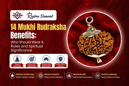 14 Mukhi Rudraksha Benefits: Who Should Wear It, Rules and Spiritual Significance