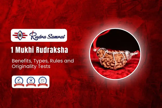 1 Mukhi Rudraksha: Benefits, Types, Rules and Originality Tests