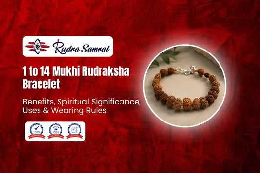 1 to 14 Mukhi Rudraksha Bracelet: Benefits, Spiritual Significance, Uses & Wearing Rules
