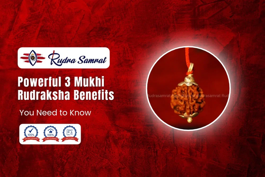 3 Mukhi Rudraksha Benefits 