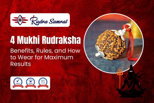 4 mukhi rudraksha