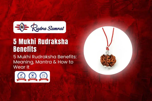 5 Mukhi Rudraksha Benefits: Meaning, Mantra & How to Wear It