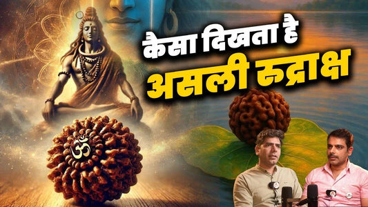 कैसा दिखता है असली रुद्राक्ष ? ‪@rudrasamrat‬ #rudraksha #mahadev #rudraksh #spiritualjourney