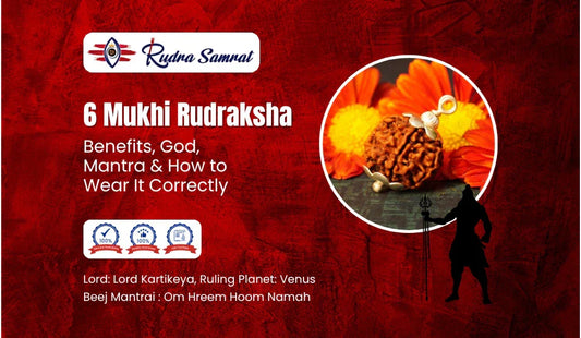6 Mukhi Rudraksha Benefits