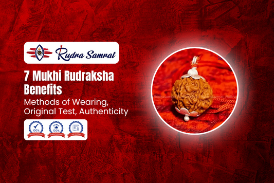 7 Mukhi Rudraksha Benefits: Methods of Wearing, Original Test, Authenticity