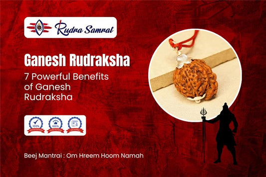 Ganesh Rudraksha Benefits for Life Success