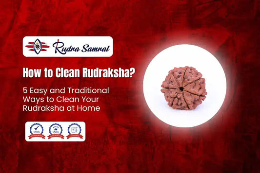 How to Clean Rudraksha? 5 Easy and Traditional Ways to Clean Your Rudraksha at Home