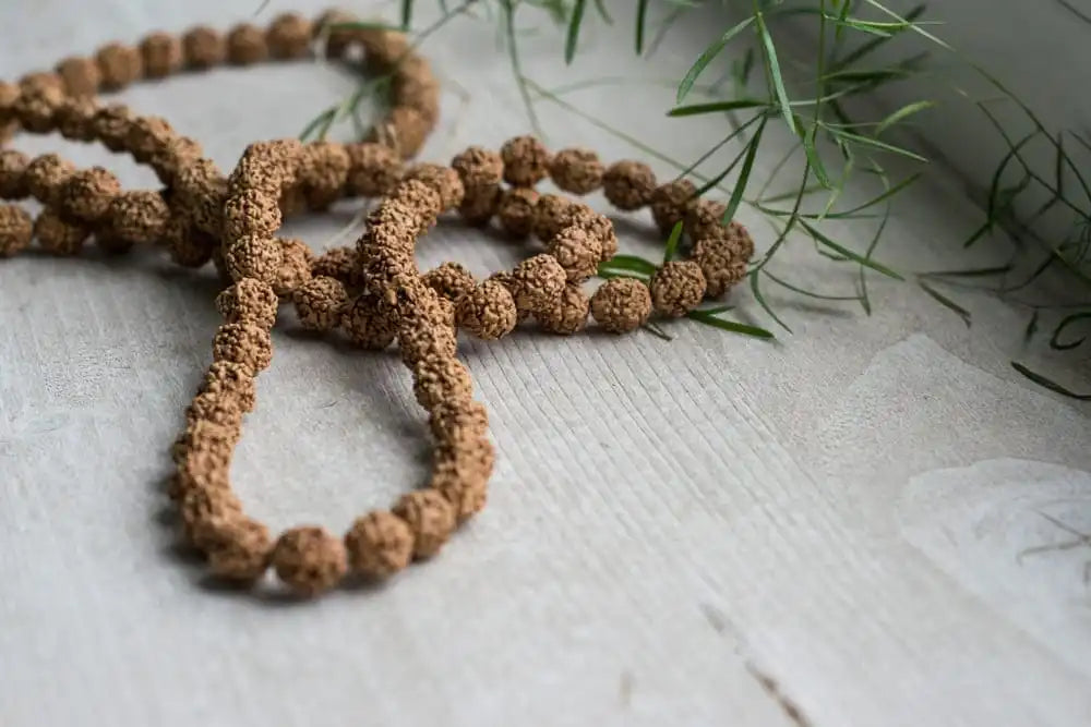 Things you should know before buying a Rudraksha – Rudra Samrat