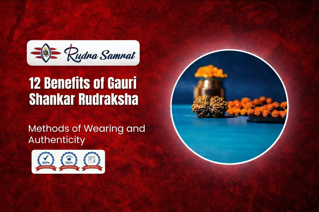 12 Benefits of Gauri Shankar Rudraksha, Methods of Wearing and Authenticity