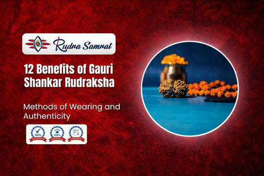 12 Benefits of Gauri Shankar Rudraksha, Methods of Wearing and Authenticity