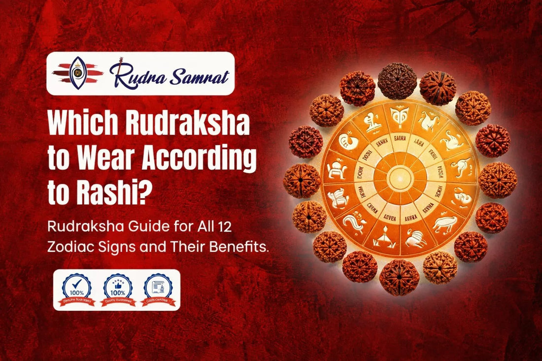 Rudraksha According to Rashi