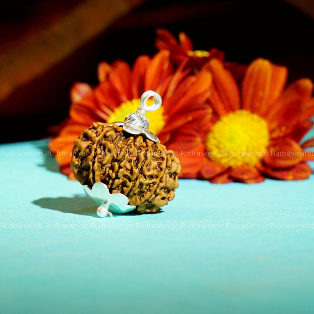 10 Mukhi Rudraksha