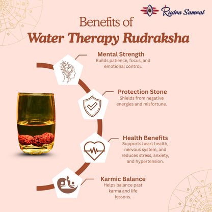 Water Therapy Rudraksha (Set of 3)