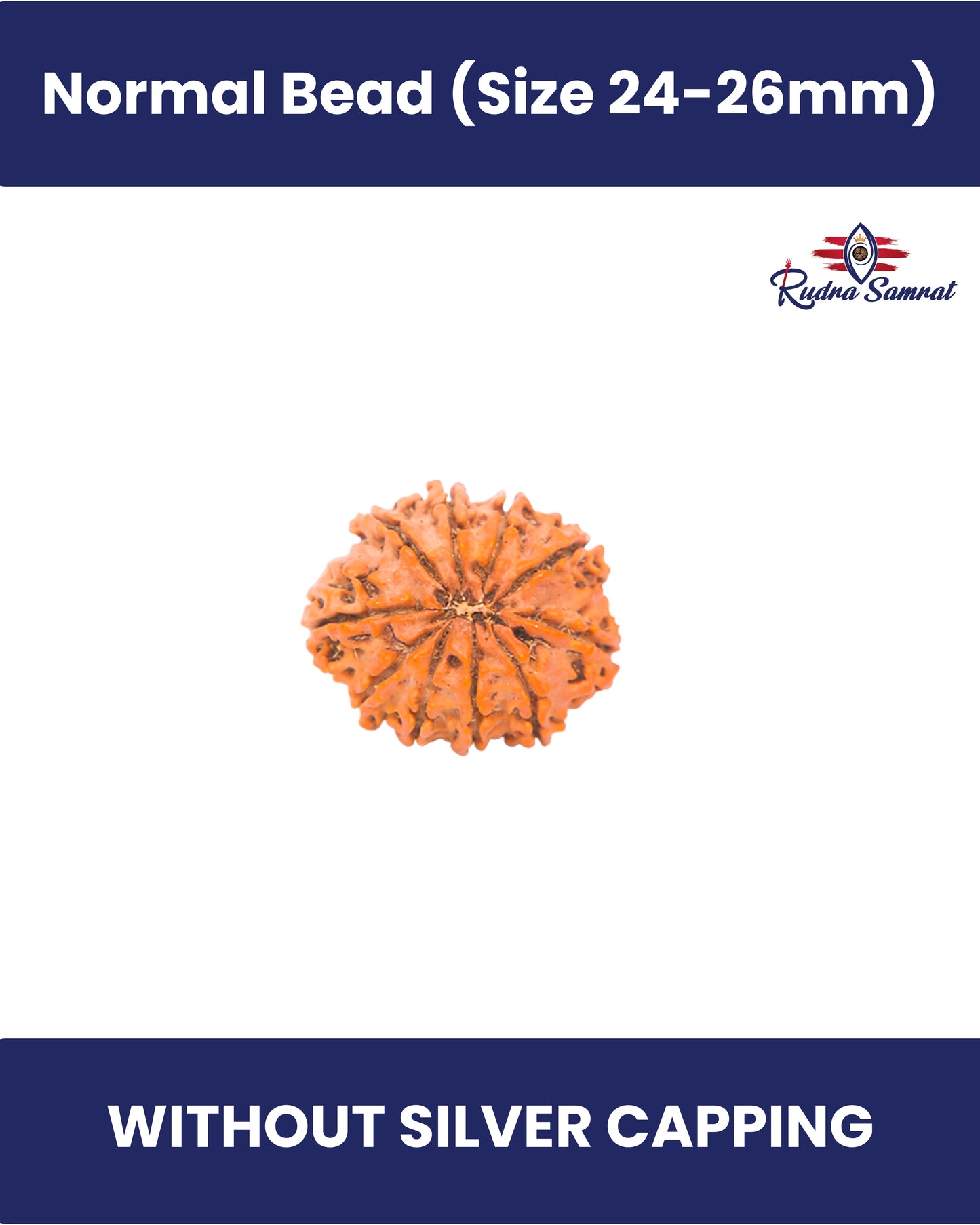 10 Mukhi Rudraksha