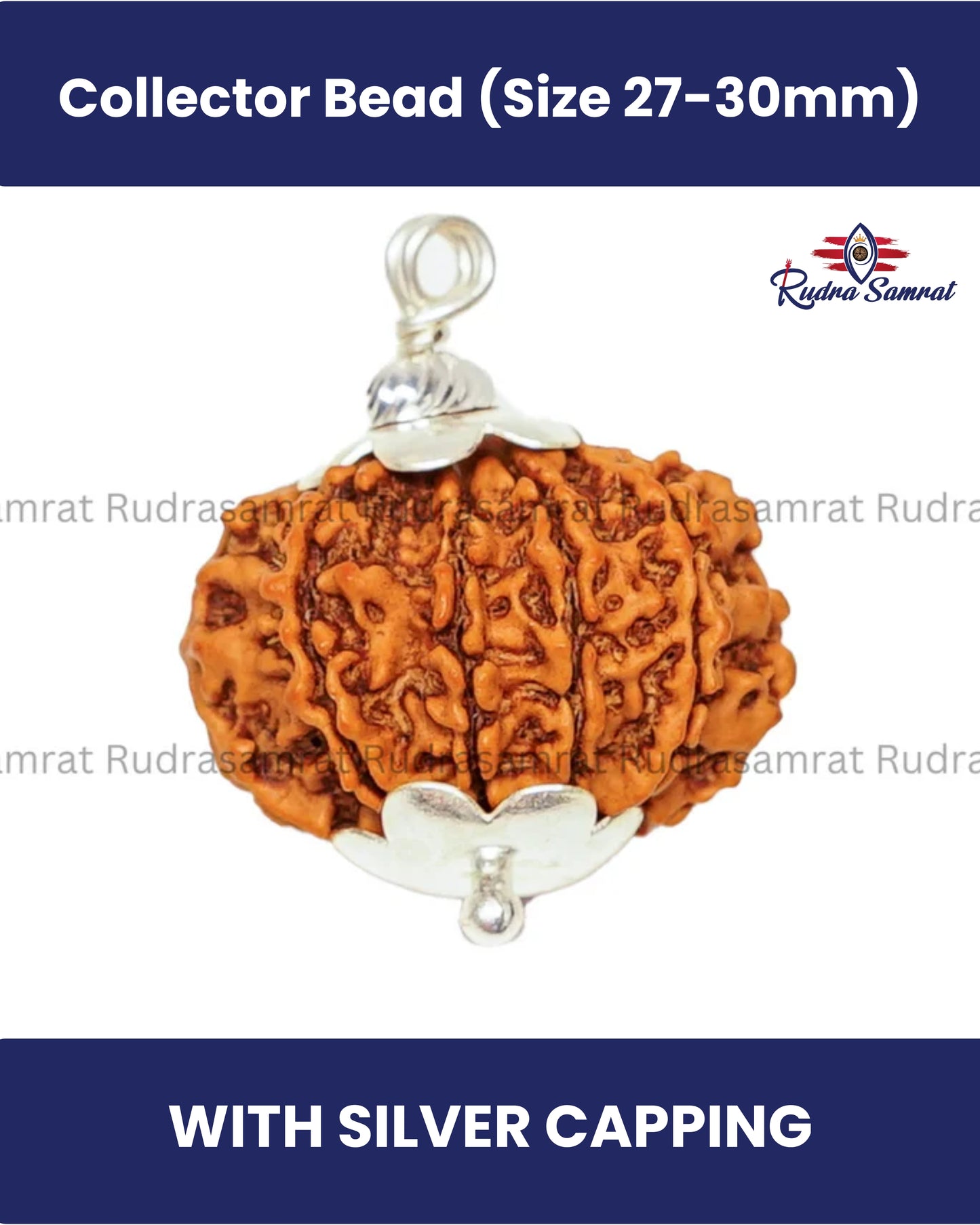 10 Mukhi Rudraksha
