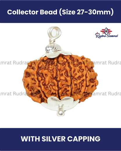 10 Mukhi Rudraksha