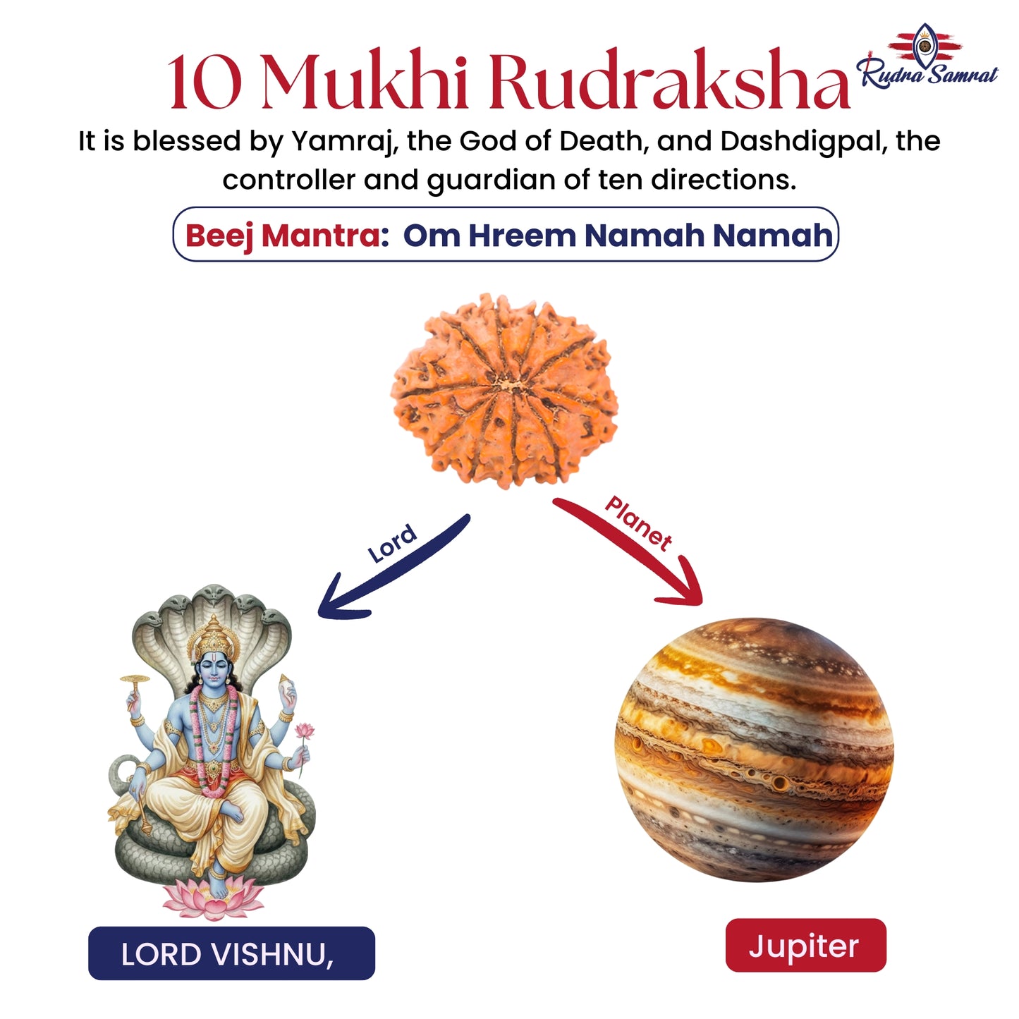 10 Mukhi Rudraksha