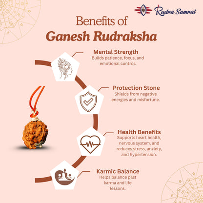 Ganesh Rudraksha