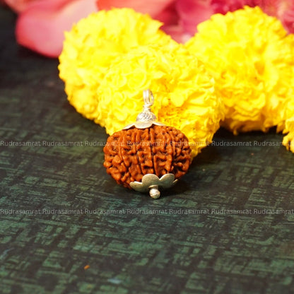 12 Mukhi Rudraksha
