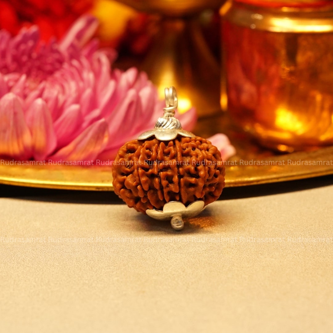 12 Mukhi Rudraksha