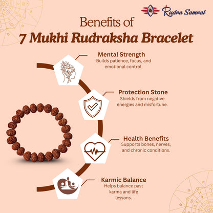 7 Mukhi Rudraksha Bracelet