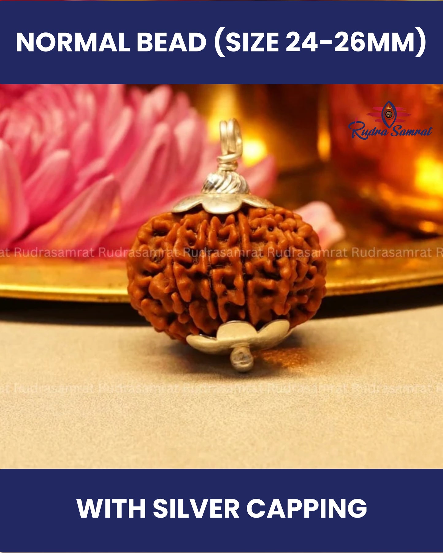 12 Mukhi Rudraksha