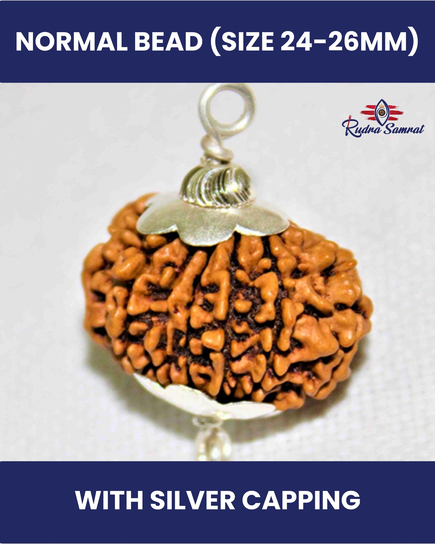 13 Mukhi Rudraksha