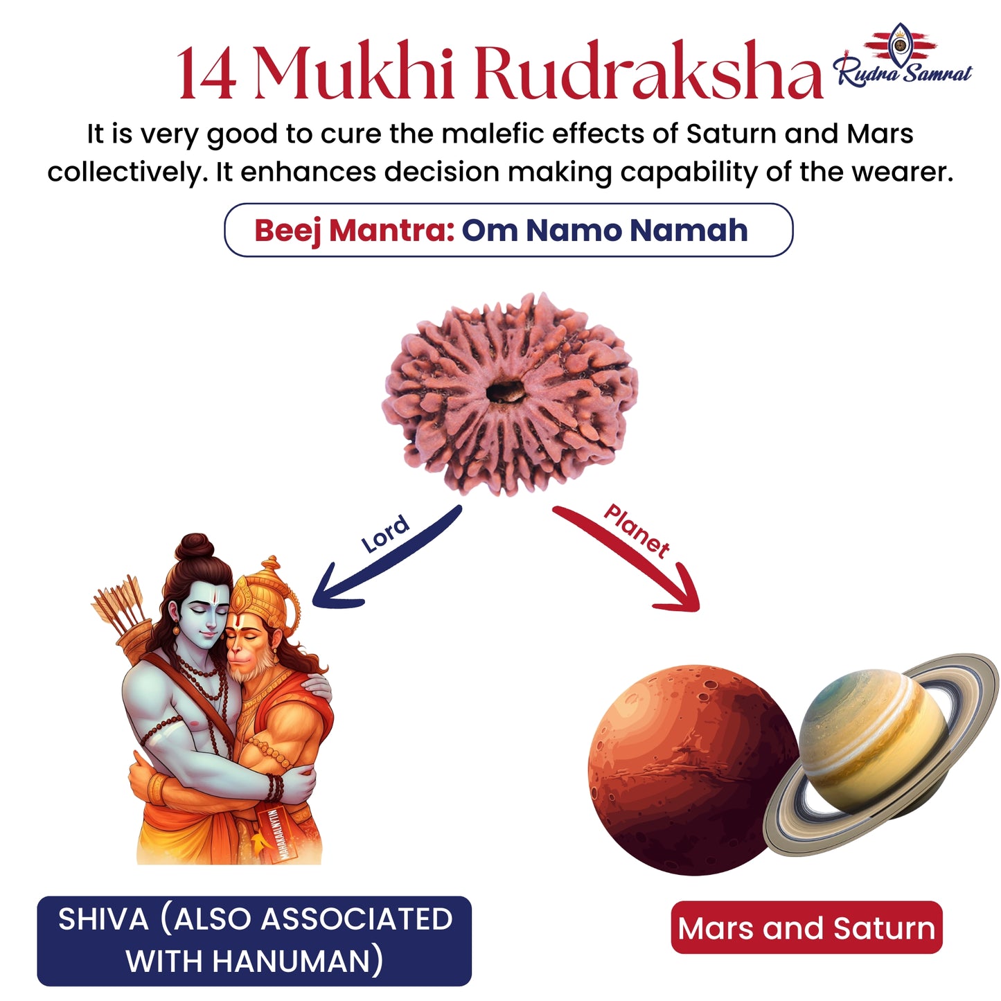 14 Mukhi Rudraksha