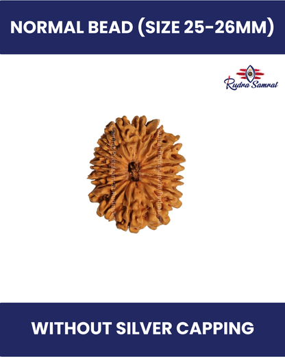15 Mukhi Rudraksha