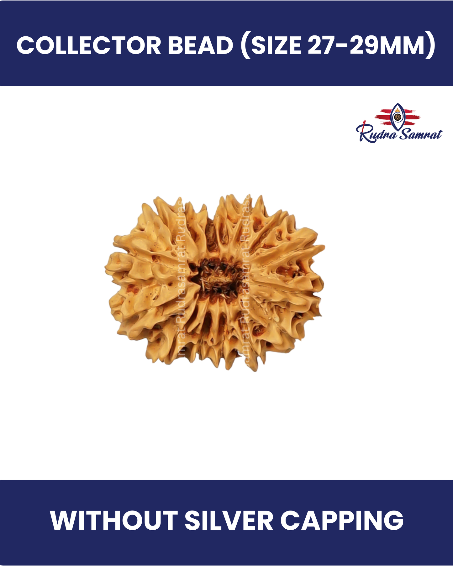 15 Mukhi Rudraksha