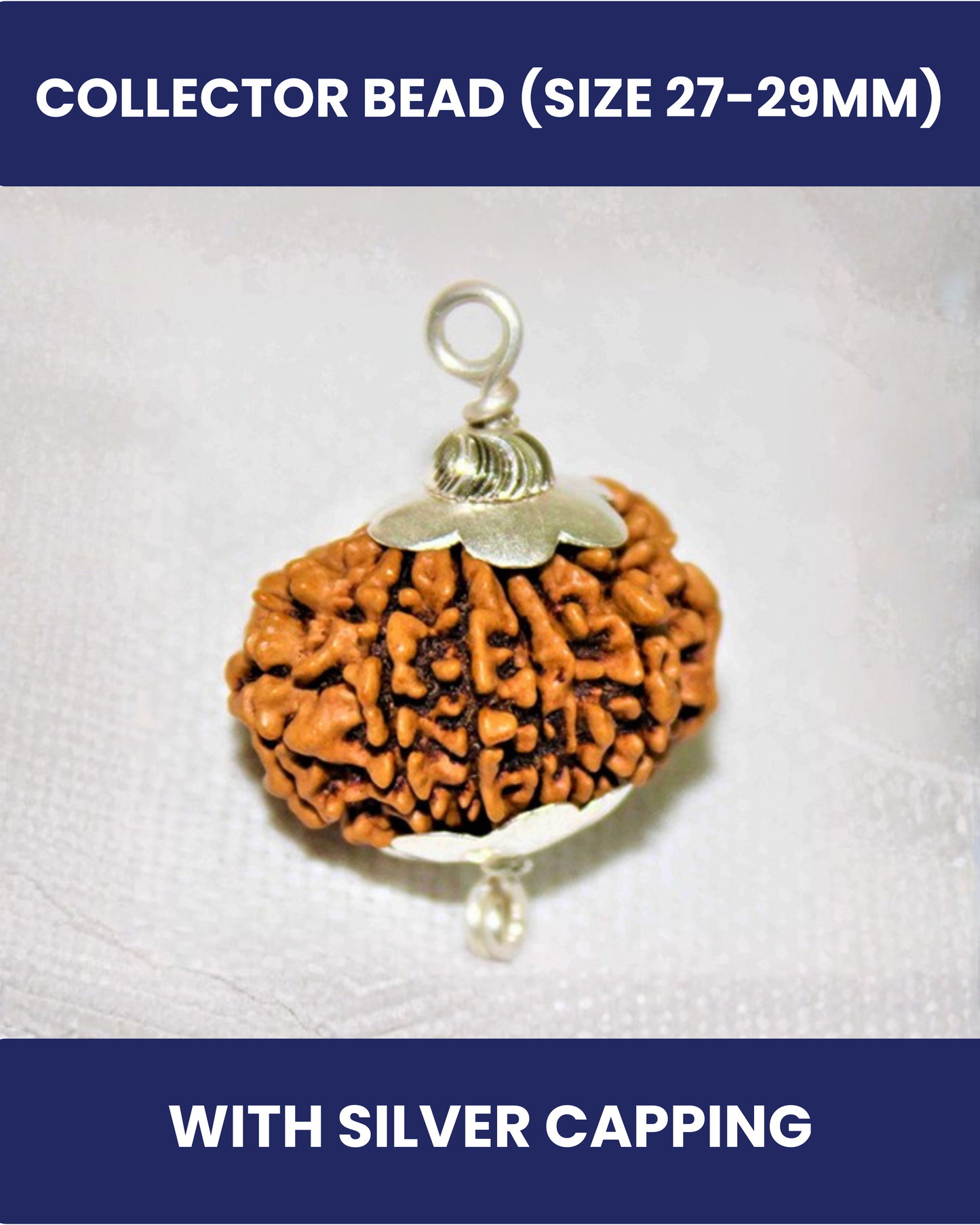 15 Mukhi Rudraksha