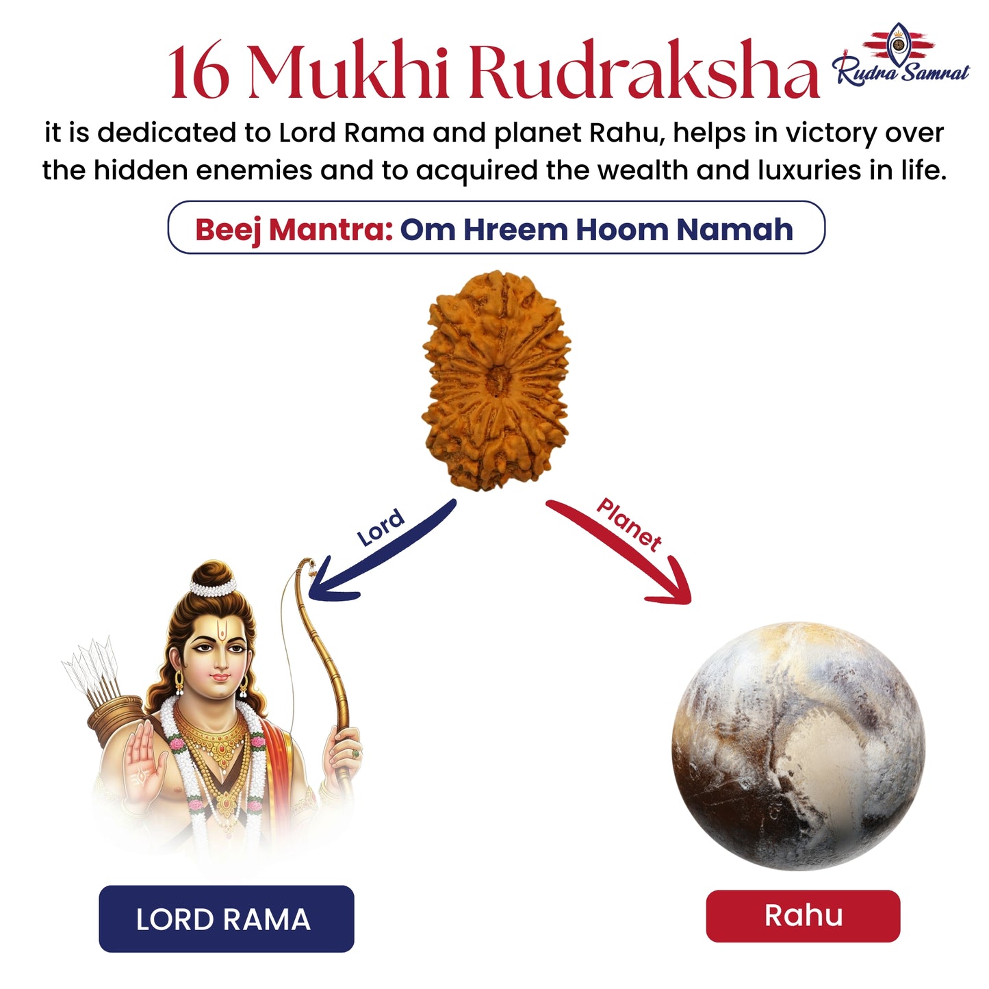 16 Mukhi Rudraksha