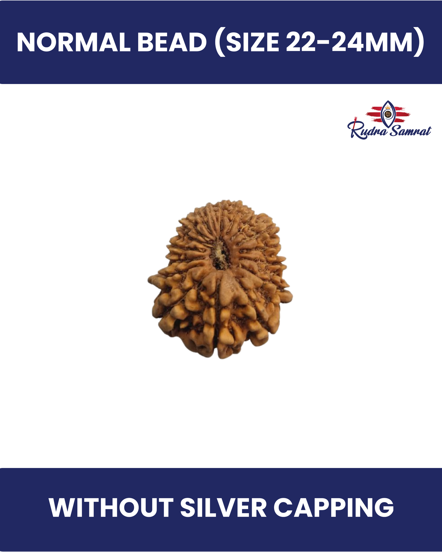 17 mukhi Rudraksha