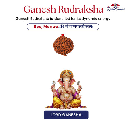 Ganesh Rudraksha