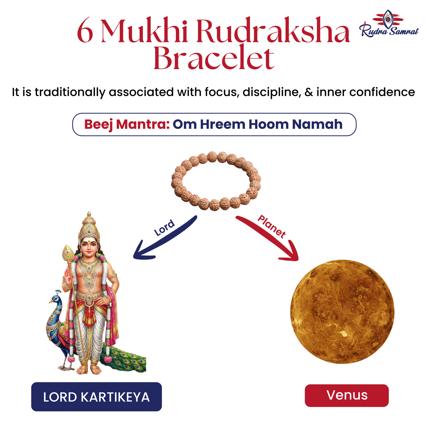 6 Mukhi Rudraksh Bracelet
