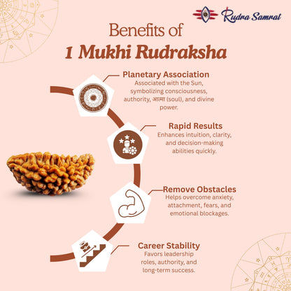 1 Mukhi Rudraksha