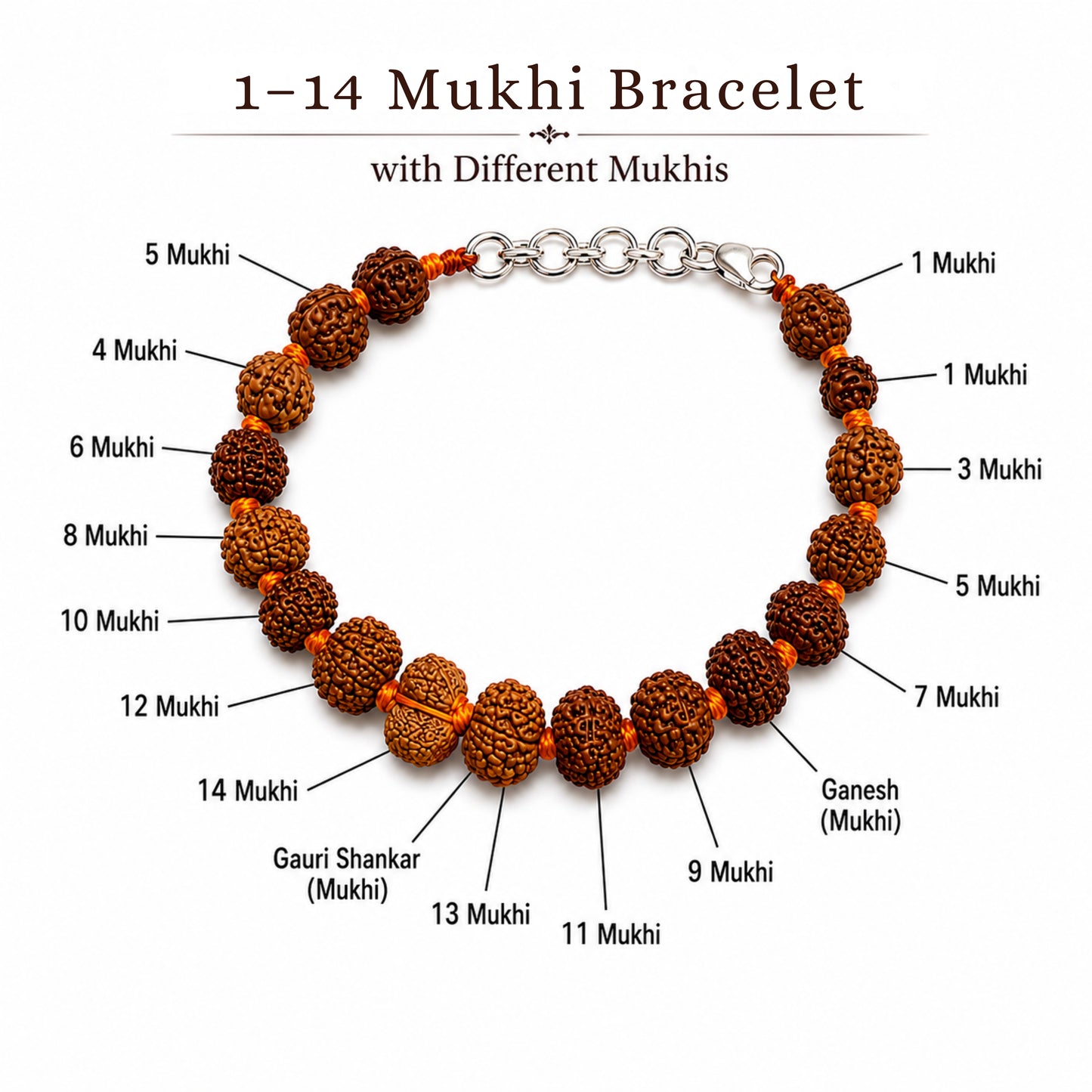 1–14 Mukhi Rudraksha Bracelet (Indonesia)