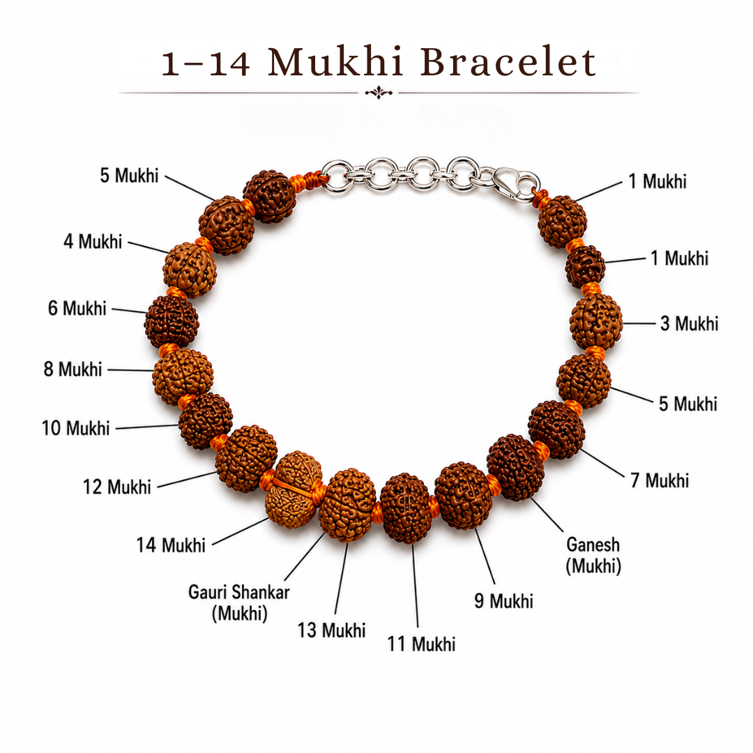 1–14 Mukhi Rudraksha Bracelet