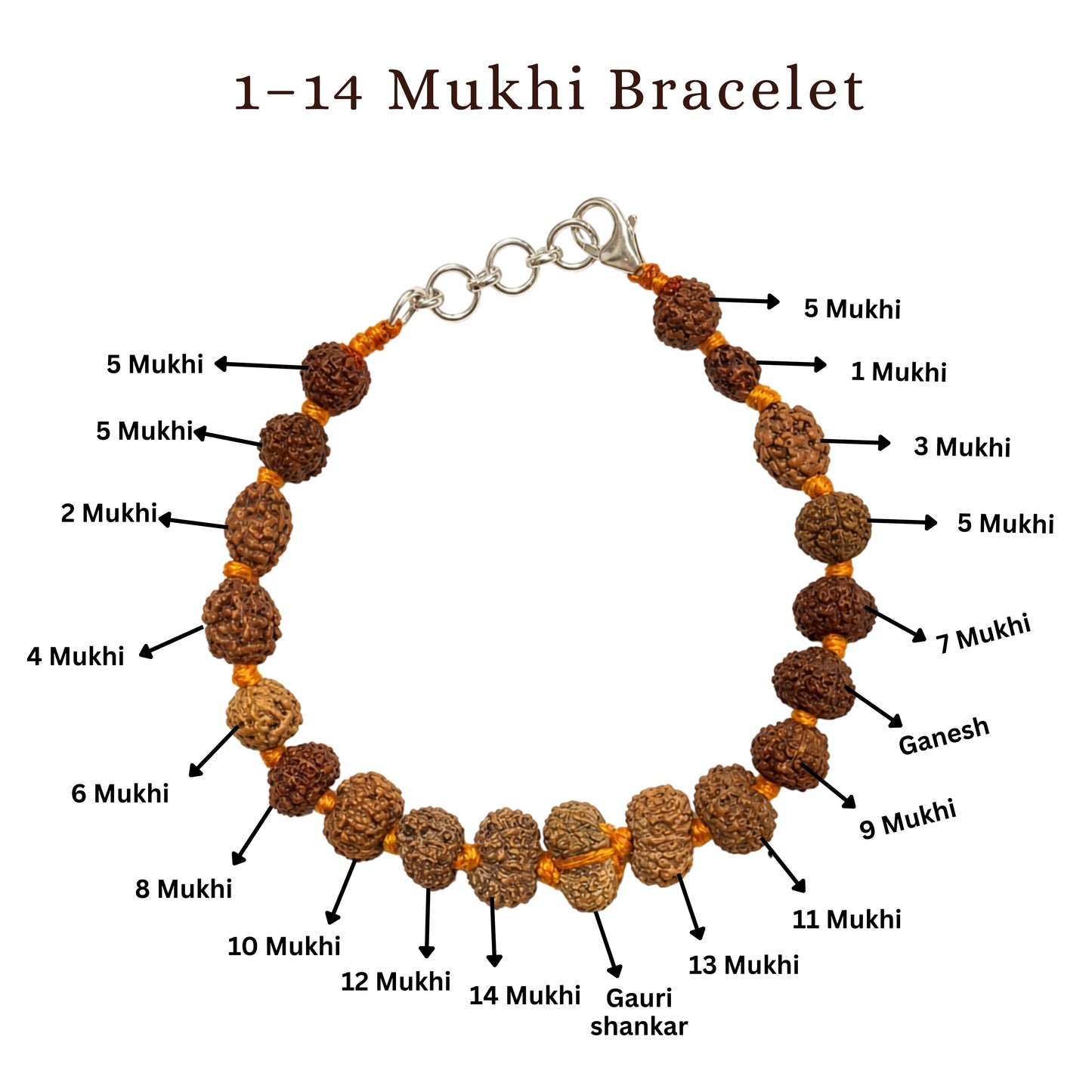 1–14 Mukhi Rudraksha Bracelet