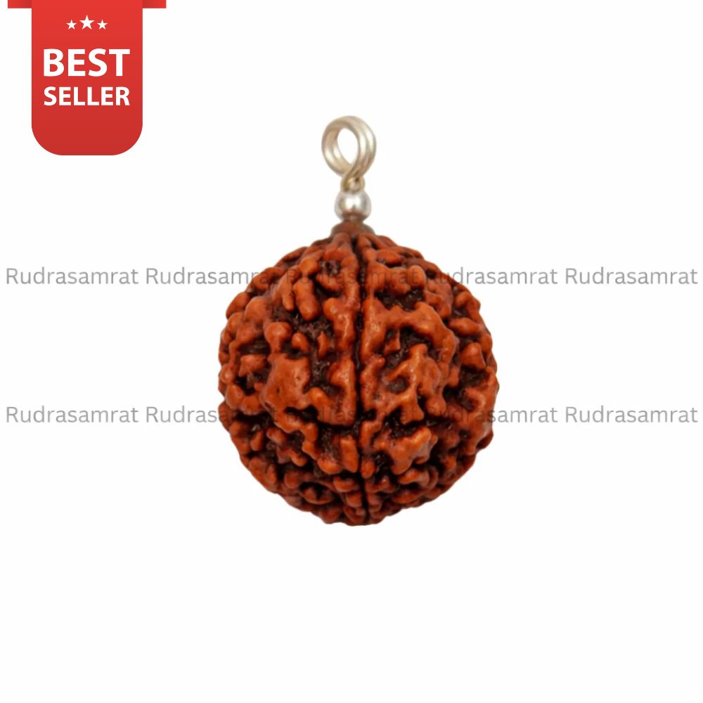 4 Mukhi Rudraksha