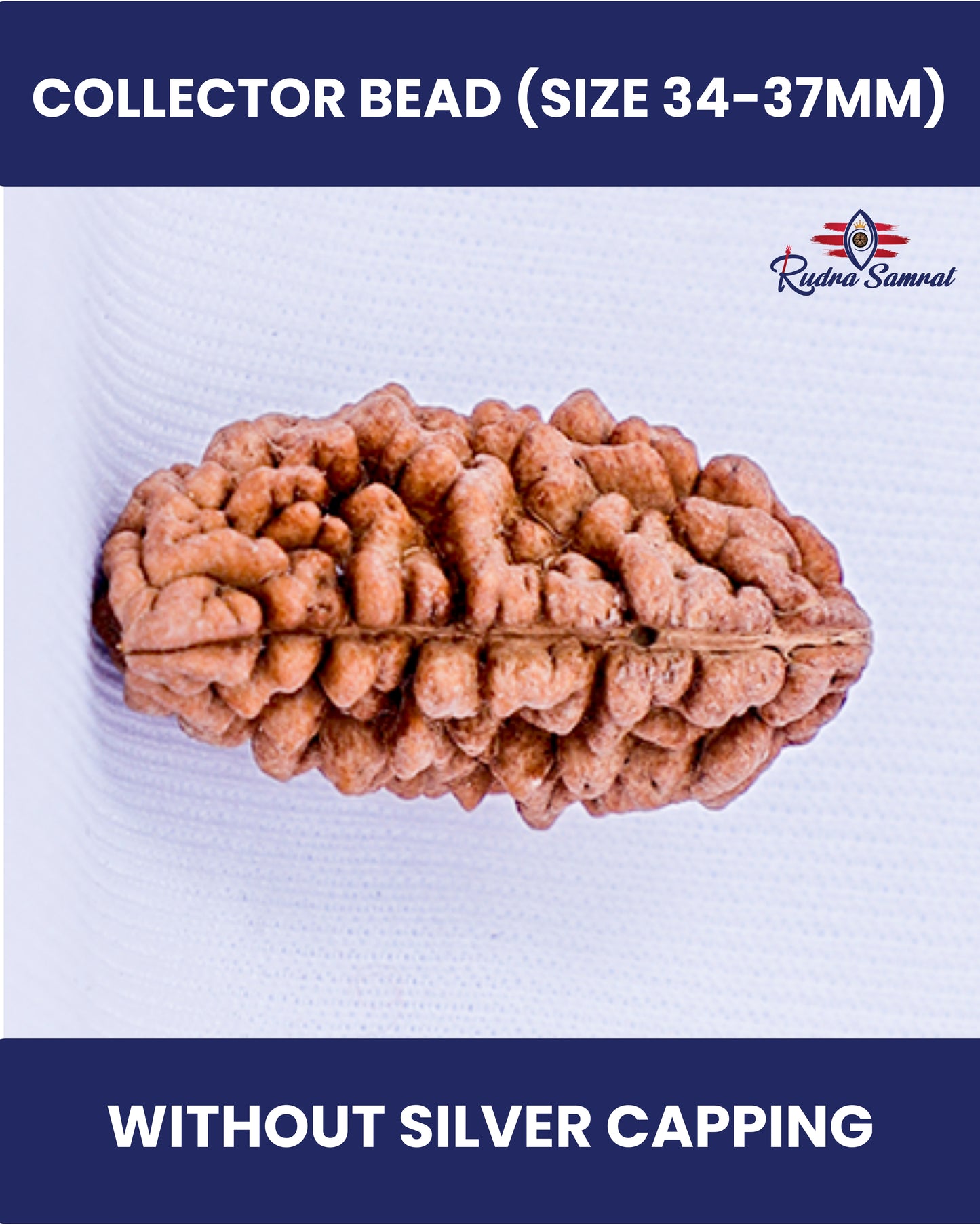 1 Mukhi Rudraksha