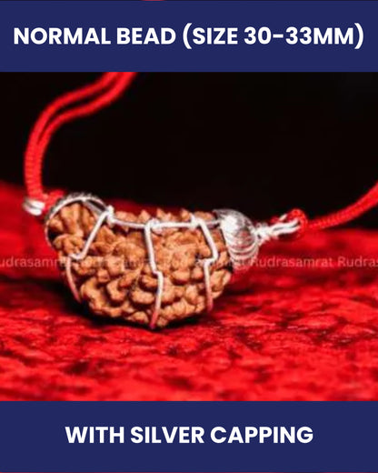 1 Mukhi Rudraksha